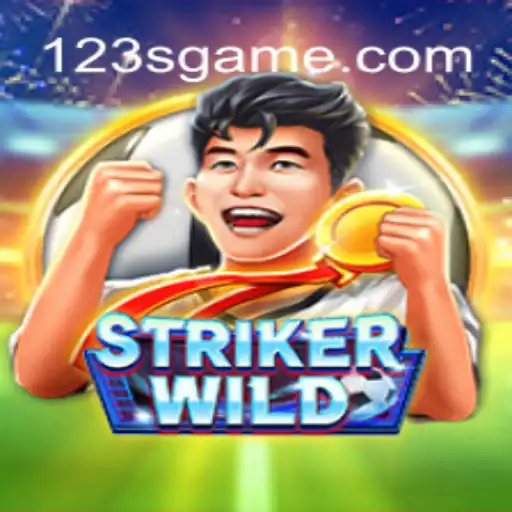Explorando o Universo do Jogo StrikerWILD